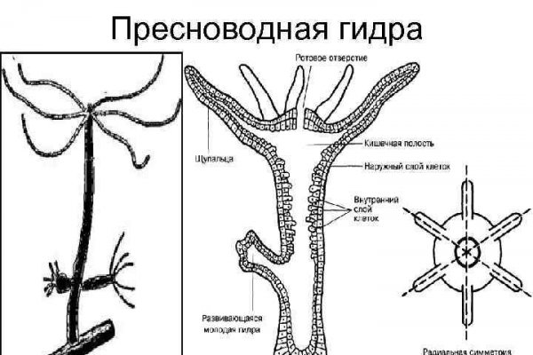 Кракен перестал работать