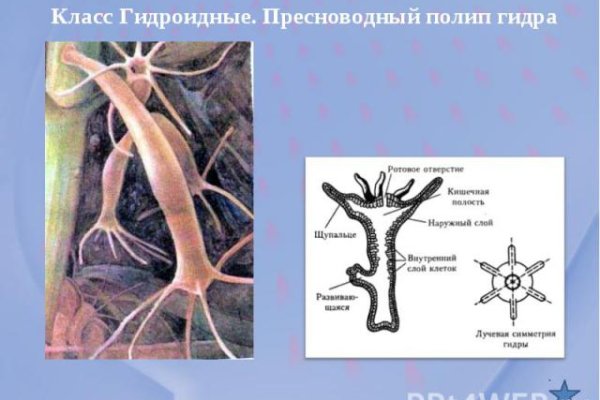 Как зайти на кракен с телефона