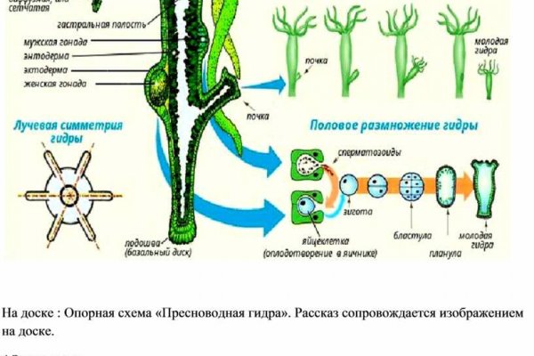 Удалился аккаунт кракен