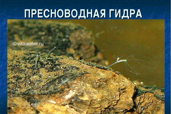 Скачать кракен тор